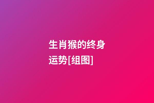 生肖猴的终身运势[组图]